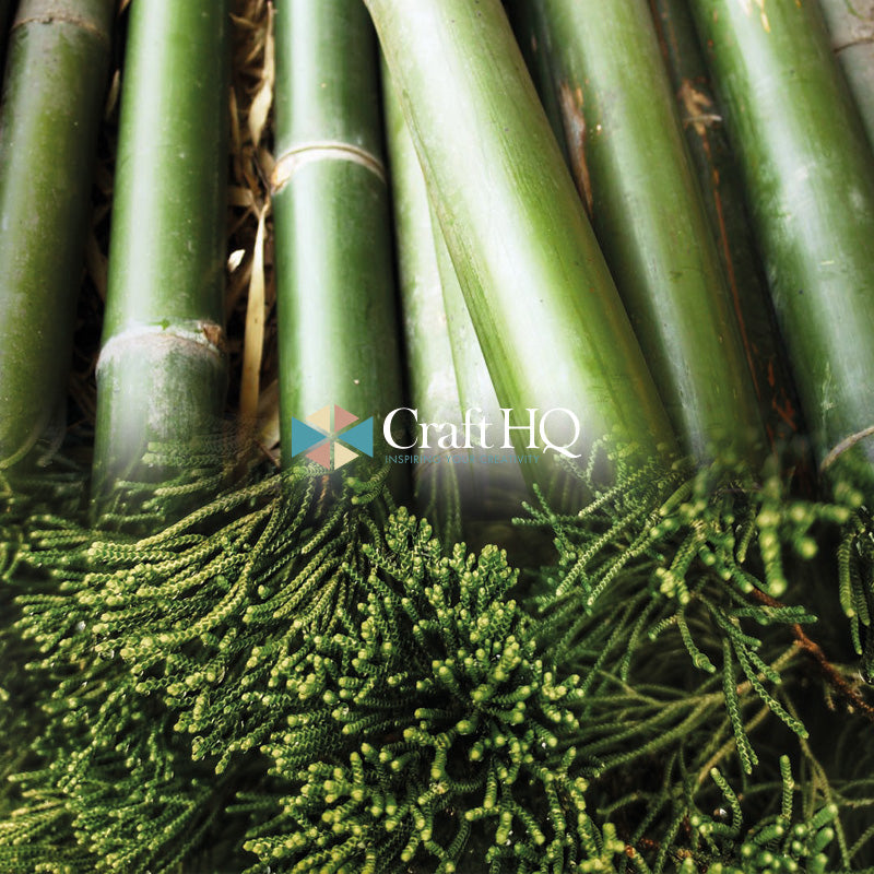 Bamboo & Cedar Fragrance Oil